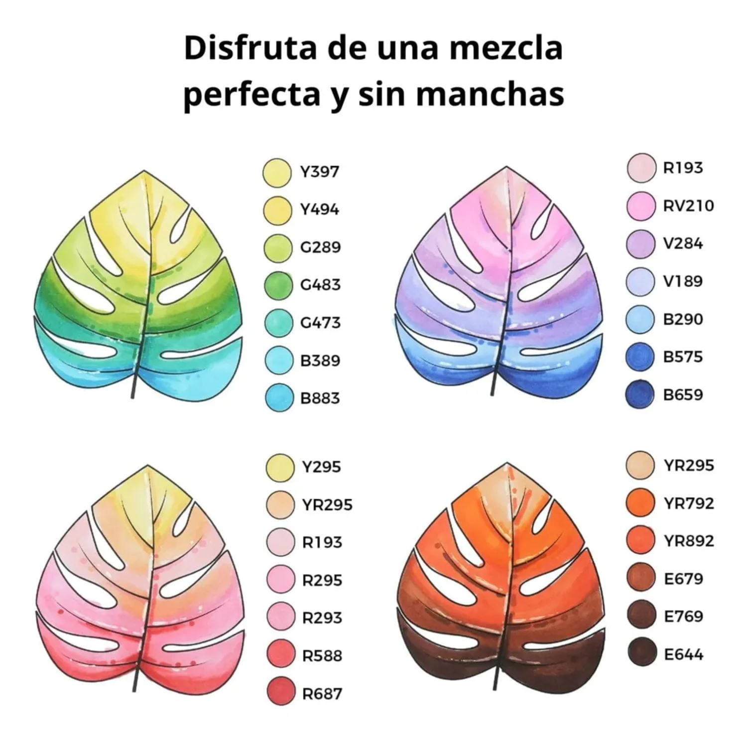 Imagen del producto 7